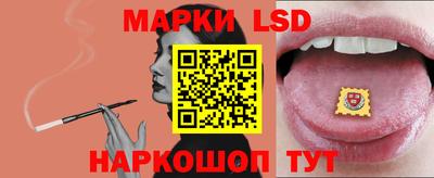 гидропоника Будённовск