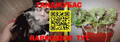 индика Бузулук